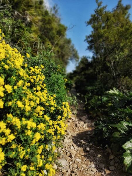 Schmaler Pfad entlang des Felsens