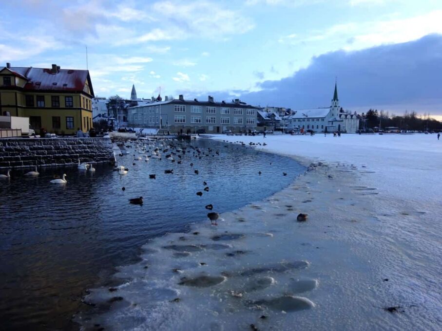 Der Tjörnin in Mitten von Reykjavík