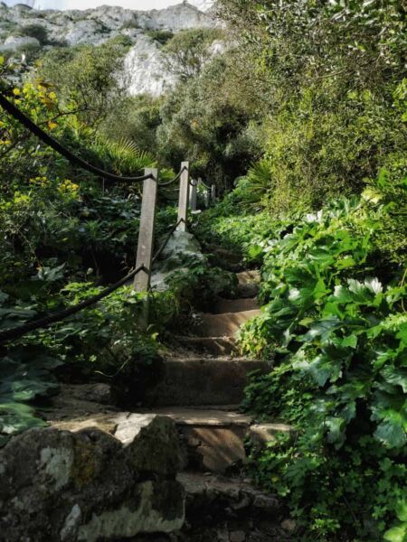 Weg entlang der Mediterranean Steps